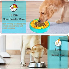 Slow Feeder Puzzle Toy for Pets