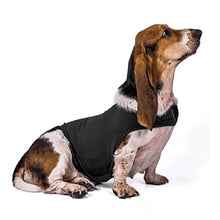 Anti Anxiety Vest for Dogs