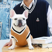 V-Neck Sweater for Dogs & Cats