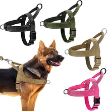 Adjustable Anti-Pull Dog Harness