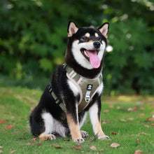 Breathable Quick Release Dog Harness