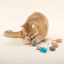 3-200 Pcs Rattle Cat Mouse Toys with Catnip