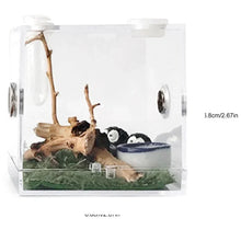 Small Reptile Feeding Box