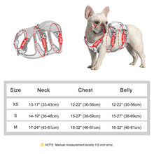 Escape Proof Nylon Dog Harness