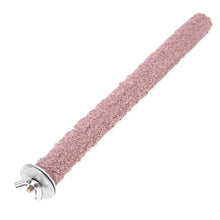 Colourful Parrot Claw Stick