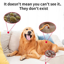 Ultrasonic Pest Repeller for Pets