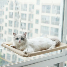 Colourful Aerial House for Kittens