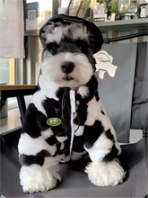 Warm Winter Jacket For Small Pets