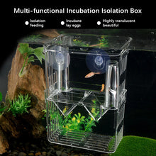 Acrylic Fish Breeding