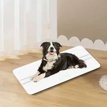 Large Pet Scale for Cats & Dogs