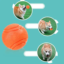 Interactive Dog Ball and Fetch Toy