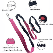 Hands-Free Reflective Dog Leash