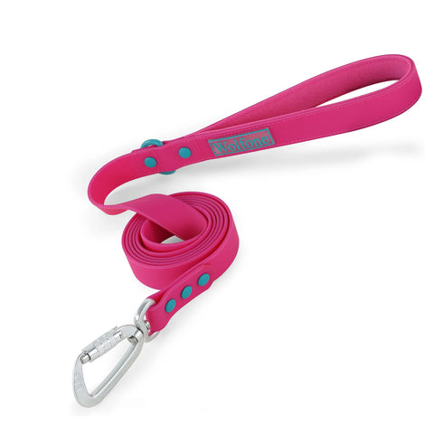 Dog Leash with Automated Hook