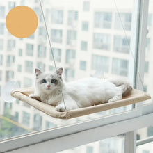 Hanging Cat Hammock for Large Cats