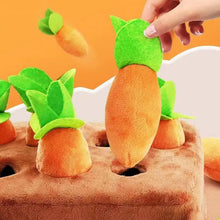 Carrot Inspired Pet Toys