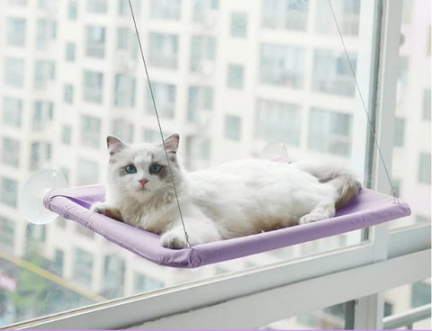 Colourful Aerial House for Kittens