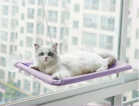 Colourful Aerial House for Kittens
