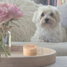 Dog Hair Keepsake Box
