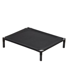 Elevated Bed Dog with Frame