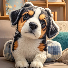 Customisable Plush Pillows