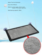Comfortable Pet Cat Hanger