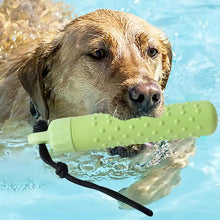 Floating Dog Water Toy