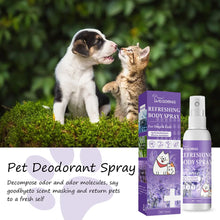 Lavender Dog Deodoriser Spray