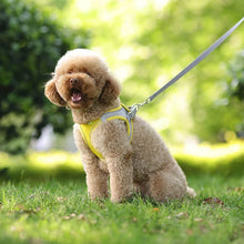 Adjustable Pet Harness and Lead Set