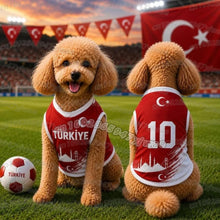 Puppy Football Summer Vest Outfit