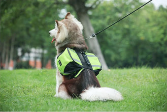 Saddle Bag Pet Harness Carrier