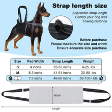 Dog Support Harness for Back Leg