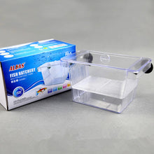 Acrylic Fish Breeding and Isolation Box