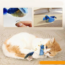 Interactive Indoor Teasing Cat Toy