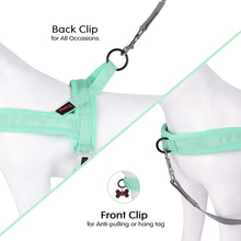 Adjustable Padded Pet Vest