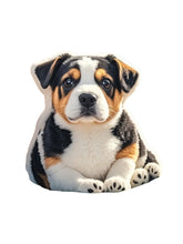 Customisable Plush Pillows