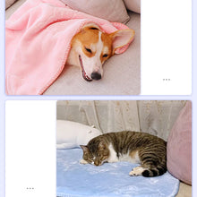 Pet Winter Thick Blanket