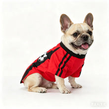 Summer Dog Soccer Jersey Vest