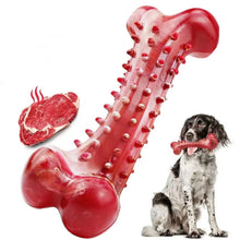 Durable Training Stiff Dog Chew Toy