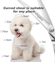 Curved Dog & Cat Grooming Scissors
