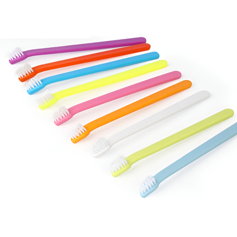 10pcs Colourful Pet Tooth Brush