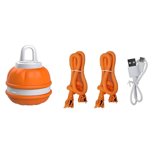 Interactive And Motion Activated Dog Ball