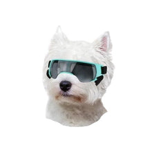 Dog Sunglasses Small Breed