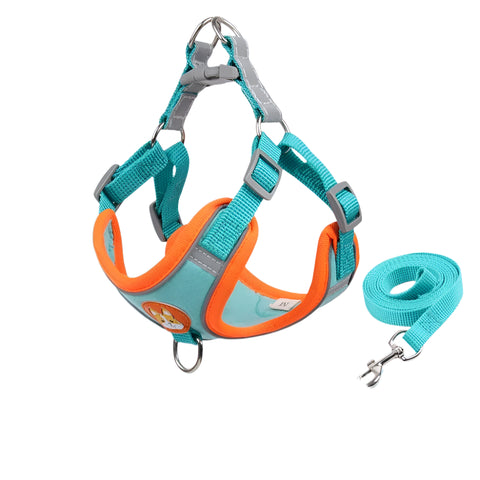 sky blue harness on a white background