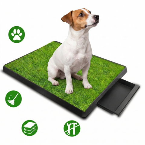 Jack Russell Grass Potty Training Pad