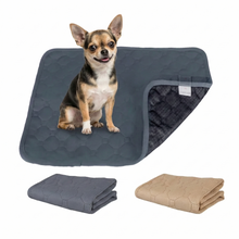 Washable Dog Training Pad
