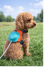 2-In-1 Dog Harness With Retractable Leash