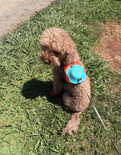 2-In-1 Dog Harness With Retractable Leash