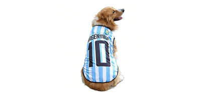 Golden Retriever wearing a blue and white Argentina 10 football-style dog jersey