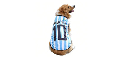 Golden Retriever wearing a blue and white Argentina 10 football-style dog shirt