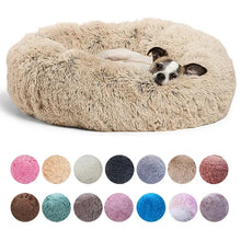 Small dog resting in a beige fluffy donut dog bed, with multiple colour options displayed below
